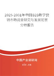 2025-2031年中國(guó)B2B數(shù)字營(yíng)銷(xiāo)市場(chǎng)調(diào)查研究與發(fā)展前景分析報(bào)告